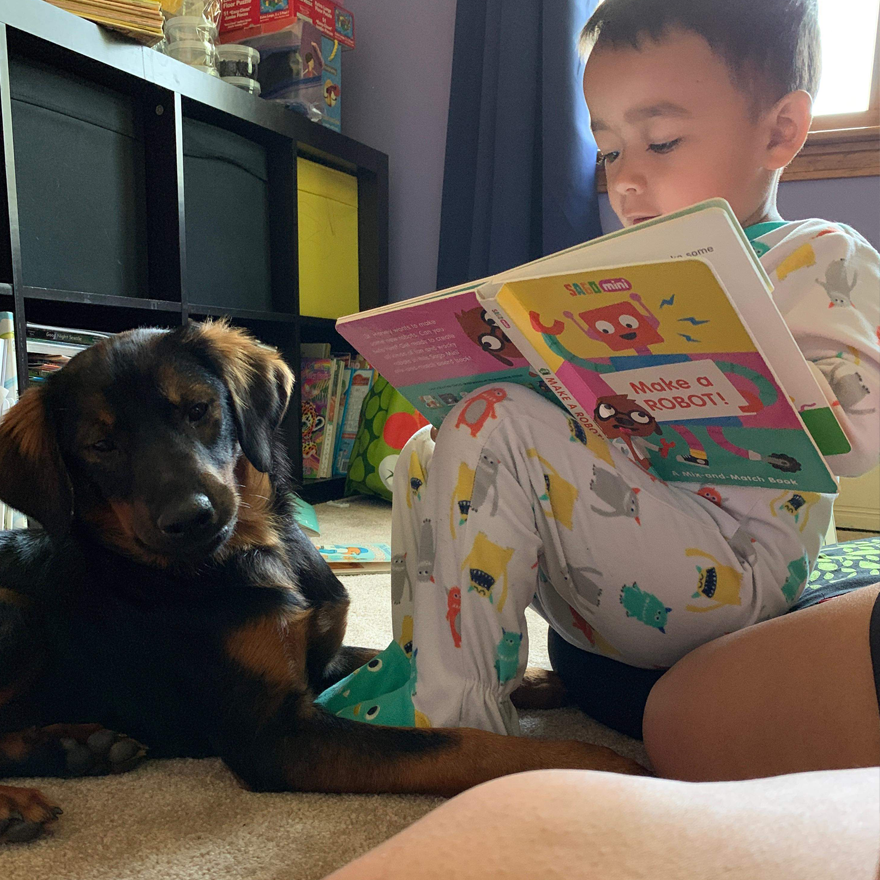 child reading to dog